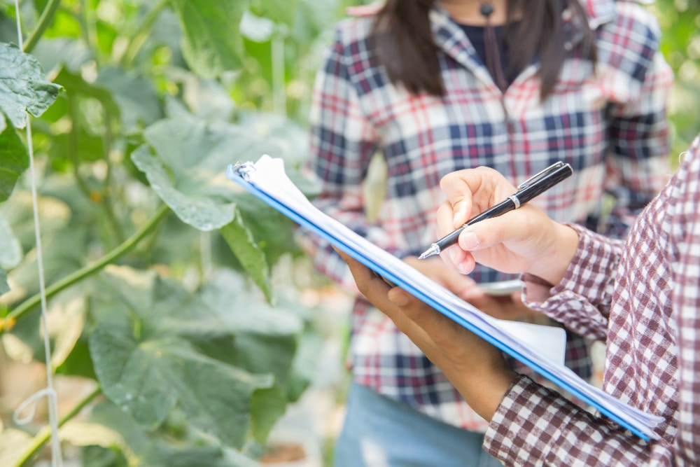 certificação para indústrias alimentícias